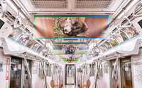 全国の動物園の人気者たちが電車をジャック、「深い癒やしトレイン」登場 画像