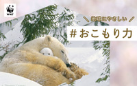 WWFジャパン、“おこもり”上手な動物を参考に自宅での過ごし方を提案…新型コロナ対策 画像