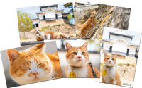 岡山・備中松山城の“猫城主”「さんじゅーろー」のオリジナルグッズが登場 画像