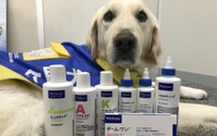 ビルバックジャパン、介助犬支援につながる犬用シャンプー「エピスース ペプチド」を発売 画像