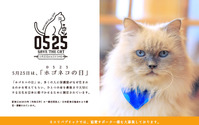 ネコリパブリック、「指1本でできる猫助けキャンペーン」をSNSで開催…5月25日は「ホゴネコの日」 画像