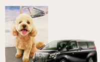 アイビーエスリムジン、愛犬と一緒に旅や移動ができる運転手付専用車のサービスを開始…車両はアルファード 画像
