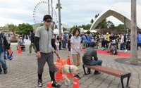 盲導犬のための募金、まもなく総額1億円に…ヤマハ発動機 画像