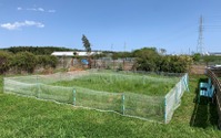 「Rabbit Park FUJISAWA」、夏期クローズ期間を利用した“国産生牧草の詰め放題”スタート…6月17日～9月30日の金・土・日 画像