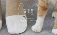 白いソックスを履いているような猫の足をイメージ、ネコリパブリックが新作靴下を発売 画像