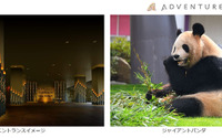 アドベンチャーワールドのパンダが食べ残した竹幹が“竹あかり”に…ホテルシーモア主催の七夕イベント 画像
