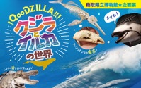 企画展 「QooDZILLA！！ クジラとイルカの世界」、鳥取県立博物館にて開催…7月17日～8月29日 画像