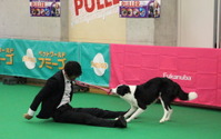 「ドッグダンス」は犬自身がどれだけ飼い主との演技を楽しめるかが重要【アニマルワールドカップ2021】 画像