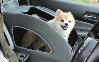 Honda Dogの愛犬用アクセサリーがリニューアル…ソフトケージをサイズアップ、新アイテムも追加 画像