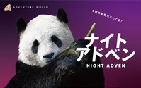 アドベンチャーワールド、18夜限定の特別イベント「ナイトアドベン NIGHT ADVEN」開催…7月22日から 画像