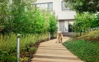 伊豆マリオットホテル修善寺、「初めての愛犬旅応援プラン」を発売 画像