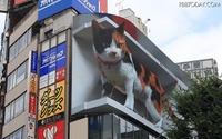 リアルな巨大三毛猫あらわる！ 新宿駅前の3D広告ビジョン 画像