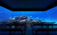 DMMかりゆし水族館、光・音・映像の空間演出をリニューアル…オープン1周年 画像