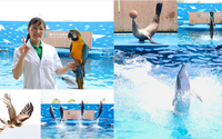 仙台うみの杜水族館、夏期限定イベント「うみの杜サマー’21」を開催…8月22日まで 画像