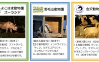 【中止】よこはま動物園ズーラシア・野毛山動物園・金沢動物園、ナイトイベントを開催…8月の毎週土日と9日 画像
