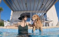 プール付きヴィラで愛犬と一緒に過ごせる「FINE GLAMPING Doggies Pool Villa」オープン…8月5日 画像