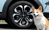 車を肉球デザインでドレスアップ、ホイールセンターキャップとセレクトノブ発売…Honda Dog愛犬用アクセサリー 画像
