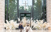 ウェディングドレス生地を再利用した犬用衣裳ブランド「DreSSED ONE」登場 画像