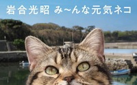 写真集 『岩合光昭 み～んな元気ネコ』辰巳出版より刊行、大判サイズで迫力たっぷり 画像