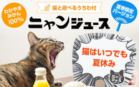 和歌山みかん100％「ニャンジュース」にうちわ付き夏季限定ver.が登場…売上の2%を保護猫支援へ 画像