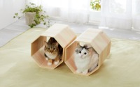 奈良県の「吉野桧」を使用した猫専用トンネルベッド新発売…ペピイ 画像