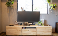 家具ブランド「NY&」、“TVボードにもなる猫トイレカバー”を発売 画像