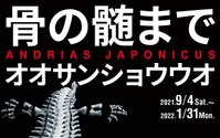 京都水族館、「骨の髄までオオサンショウウオ」を開催…22年1月31日まで 画像