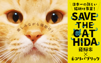 ネコリパブリック、ふるさと納税を活用した飛騨市との猫助けプロジェクト「SAVE THE CAT HIDA」を始動 画像