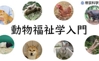 ネットラーニング、帝京科学大学「動物福祉学入門」を再開講…10月18日～11月22日 画像
