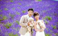 結婚式や前撮りもペットと一緒に過ごせる「結婚式ペットシッタープラン」登場…オリーブジャパン 画像