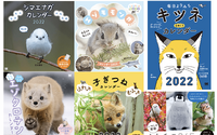 シマエナガ・エゾクロテン・エゾモモンガなど、2022年「動物」カレンダー6点発売…翔泳社 画像
