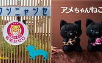 ホテル日航大阪、オリジナルマスコット「アメちゃんねこ」をオンラインショップ にて発売…売上の一部を保護猫施設へ寄付 画像