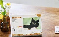 猫の写真とエッセイが満載、日めくりカレンダー「まいにちにゃんこ2022」発売…フェリシモ 画像