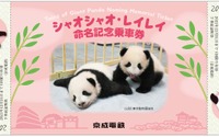 上野動物園の双子のパンダ「シャオシャオ・レイレイ命名記念乗車券」発売、ヘッドマーク掲出車両も…京成電鉄 画像