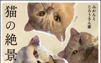 フォトブック『猫の絶景』、KADOKAWAより刊行…予約受付中 画像