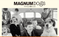 世界各地の“犬がいる風景”を集めた写真集、『MAGNUM DOGS マグナムが撮った犬』刊行 画像