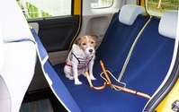 【青山尚暉のわんダフルカーライフ】道路交通法違反にならないために！ 正しい愛犬の乗せ方 画像