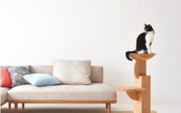 猫を愛でる家具「medel」発売…飛騨産業と設計事務所imaがコラボ 画像