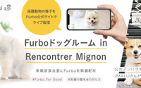 保護犬と愛犬家を繋ぐ「ファーボ ドッグルーム」プロジェクトがスタート…Tomofun 画像