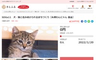 沖縄県糸満市とさとふる、犬や猫の不妊・去勢手術費用を一部補助するためのクラウドファンディングを開始 画像