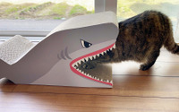 サメ型爪とぎやマタタビが入った動く魚のぬいぐるみ…コメリオリジナルの新猫用アイテム発売 画像