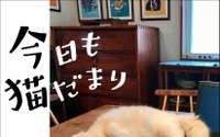 猫ぐらしフォトエッセイ『今日も猫だまり』、KADOKAWAより刊行 画像