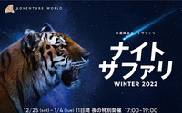 アドベンチャーワールド、「ナイトサファリ WINTER 2022」を開催…12月25日～22年1月4日 画像