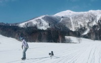 愛犬と一緒にスキー・スノボを楽しめる 「わんわんゲレンデ」オープン…星野リゾート トマム 画像