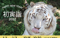 2022年の干支トラを間近で観察できる「初寅詣2022」を開催…YouTubeにてライブ配信 アドベンチャーワールド 画像