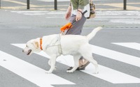 パリミキ×日本盲導犬協会、「パリミキ・ロービジョン商品体験会」を静岡にて開催…1月16日～23日 画像