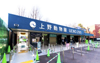 上野動物園や葛西臨海水族園など都立4施設が臨時休園…1月11日から 画像