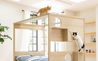 ネコステップ付きベッドやタワーパーテーションなど、“猫家具”新商品を発売…ディノス 画像