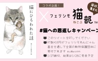 書籍『猫にひろわれた話』とフェリシモ猫部がコラボ、Twitterで寄付キャンペーン開始…1月27日まで 画像