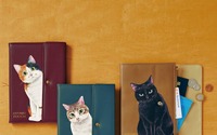 「猫がのぞくマルチポーチ」と猫部ロゴのミニポシェットを発売…フェリシモ 画像